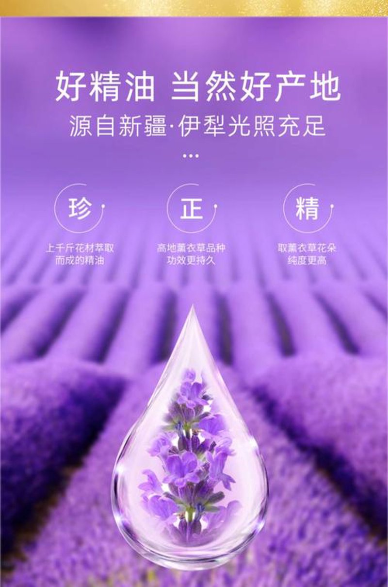 保定芬品3：推动家居行业革新与绿色升级的典范